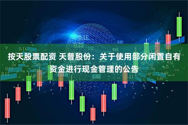 按天股票配资 天普股份：关于使用部分闲置自有资金进行现金管理的公告