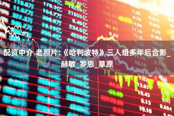配资中介 老照片:《哈利波特》三人组多年后合影_赫敏_罗恩_草原